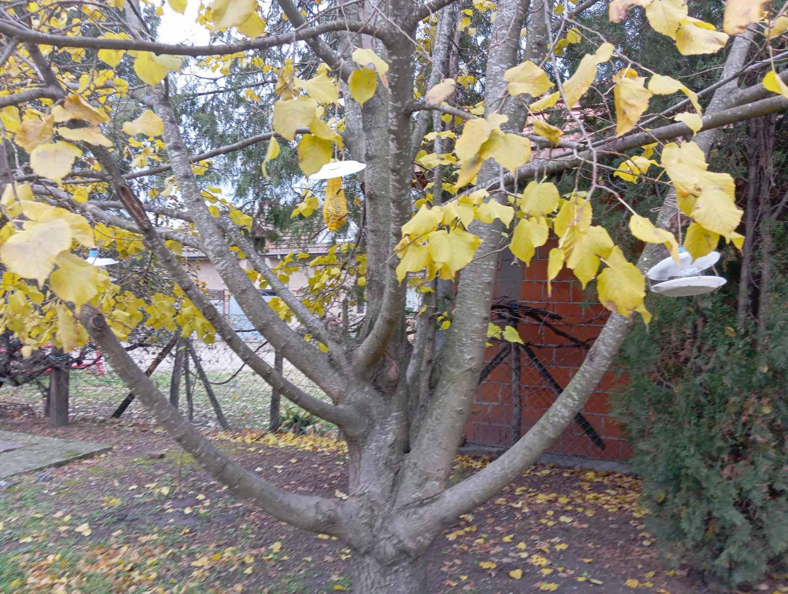 Чувамо природу