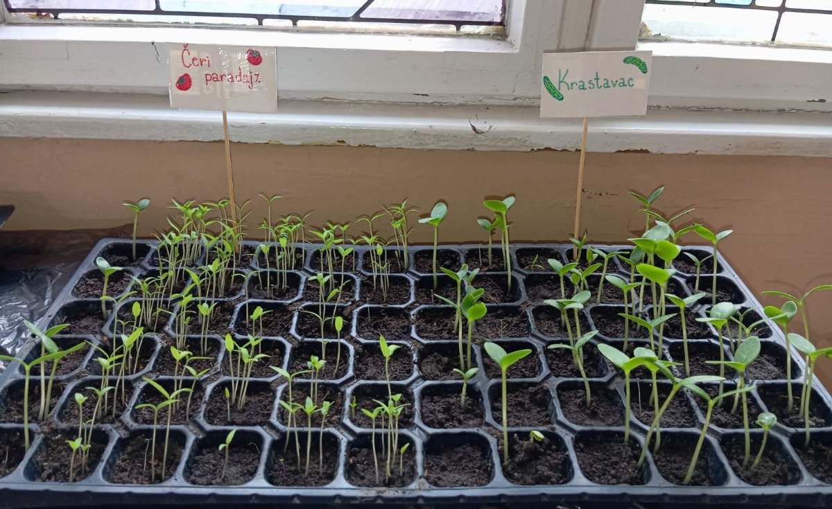 Чаробна башта